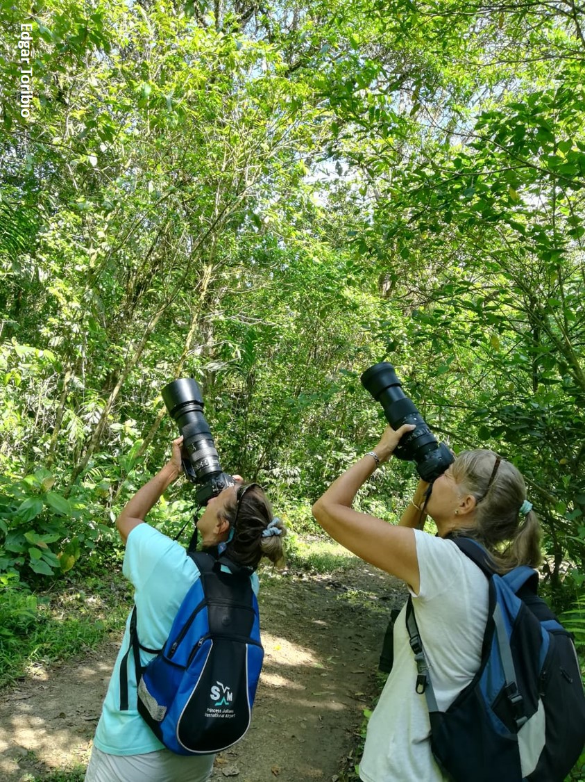 Birding Resources In The Highlands Of Veraguas